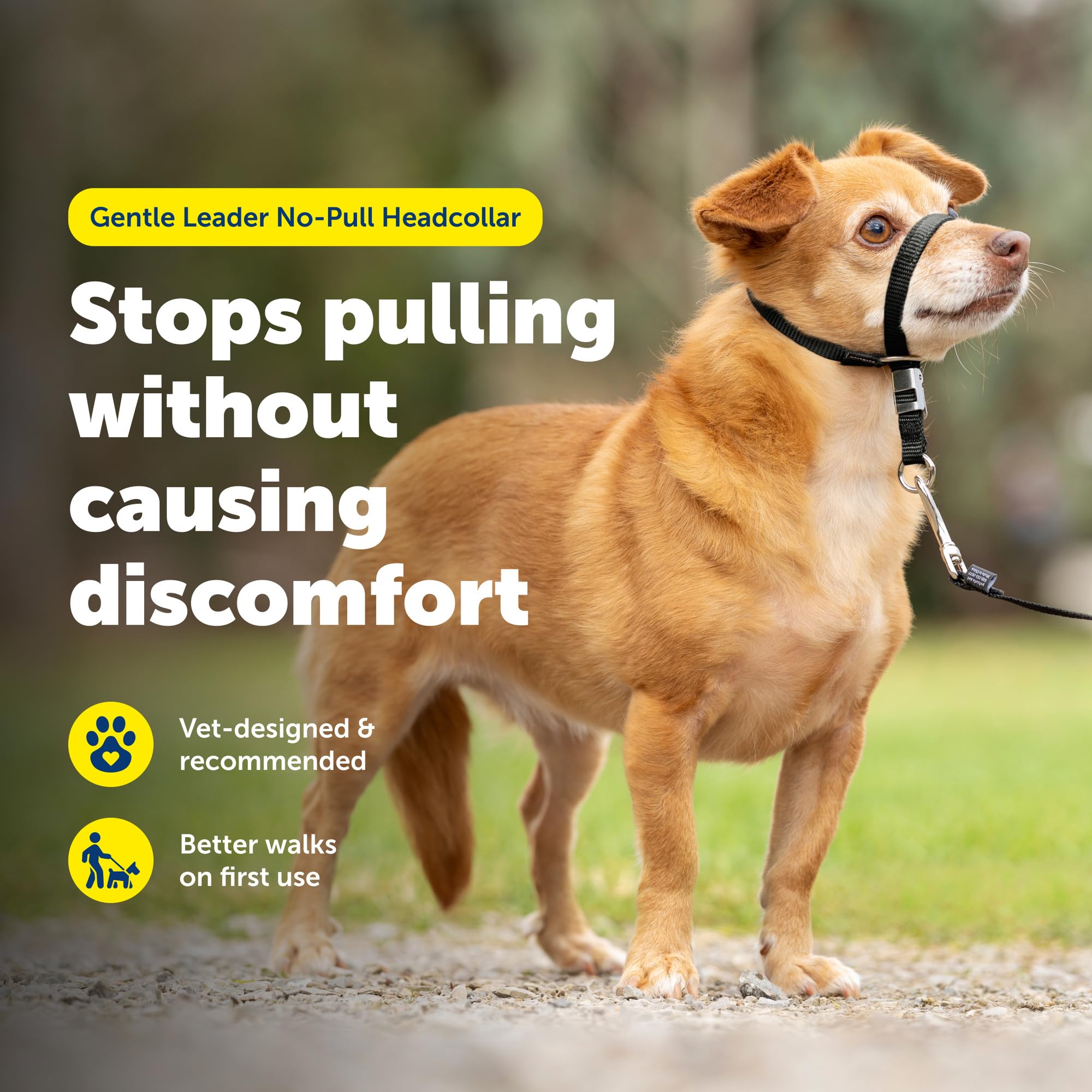 Amazon | PetSafe ジェントルリーダーヘッドカラー 引っ張らない犬用